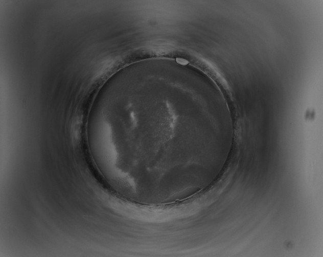 X0000102520018200808081438