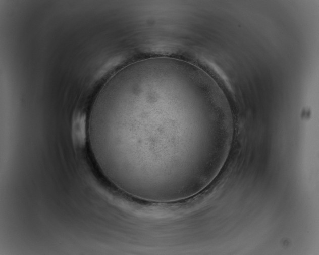 X0000102520020200808081438