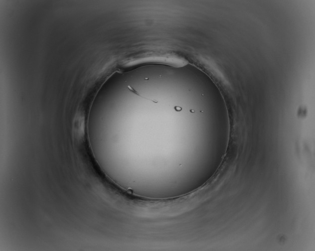 X0000102520021200808081438