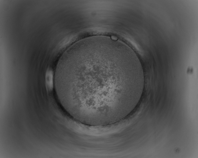 X0000102520022200808081438