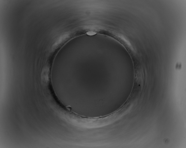 X0000102520023200808081438