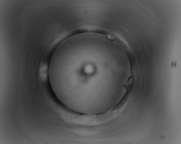 X0000102520024200808081438