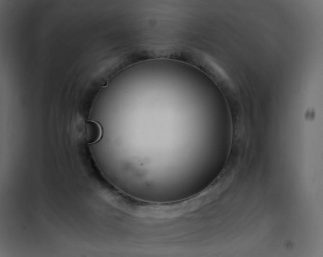 X0000102520025200808081438