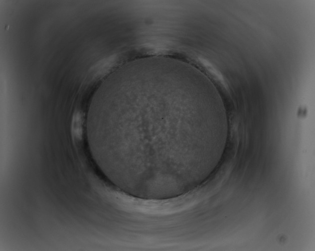 X0000102520026200808081438