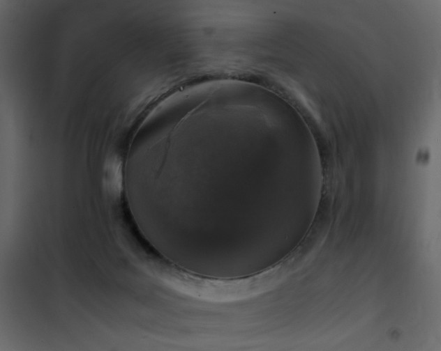 X0000102520027200808081438