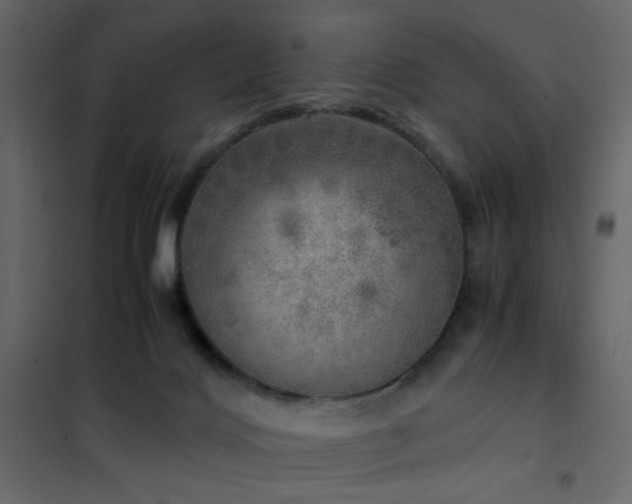 X0000102520028200808081438