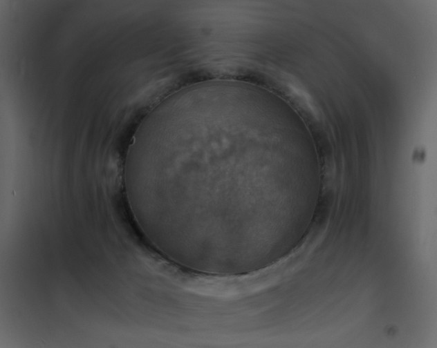 X0000102520029200808081438