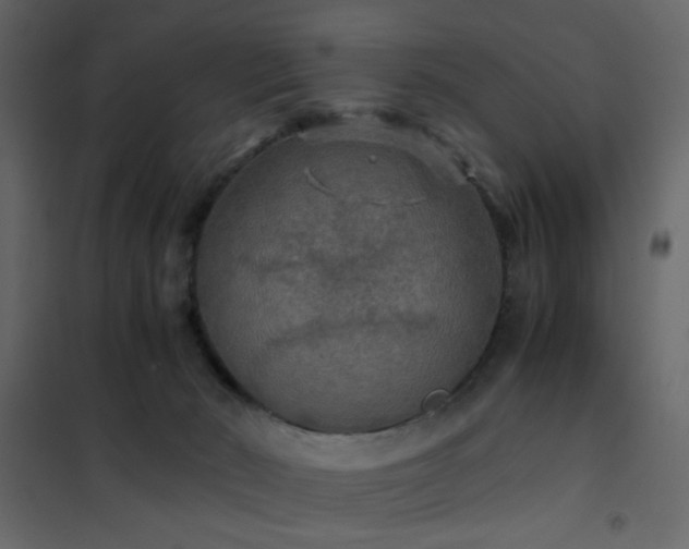 X0000102520030200808081438