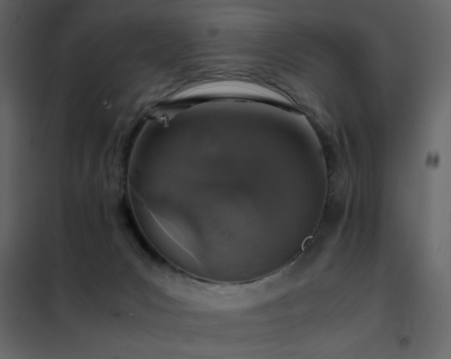 X0000102520031200808081438