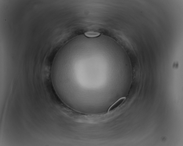 X0000102520033200808081438