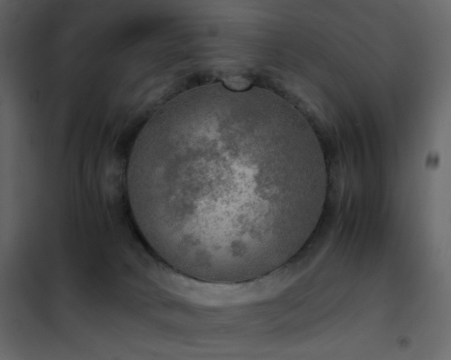 X0000102520034200808081438