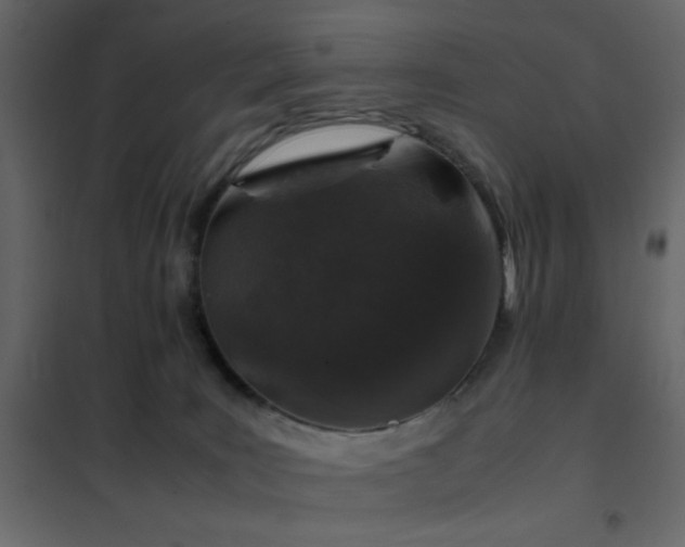 X0000102520035200808081438