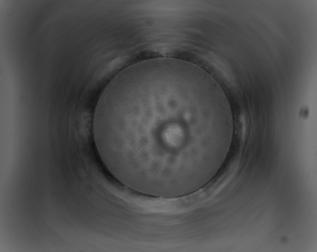 X0000102520036200808081438