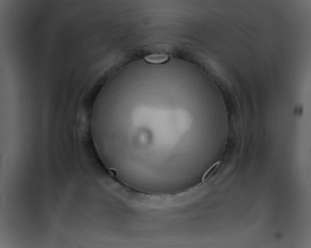 X0000102520037200808081438