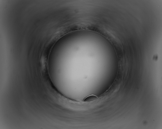 X0000102520038200808081438