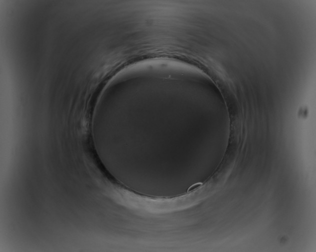 X0000102520039200808081438