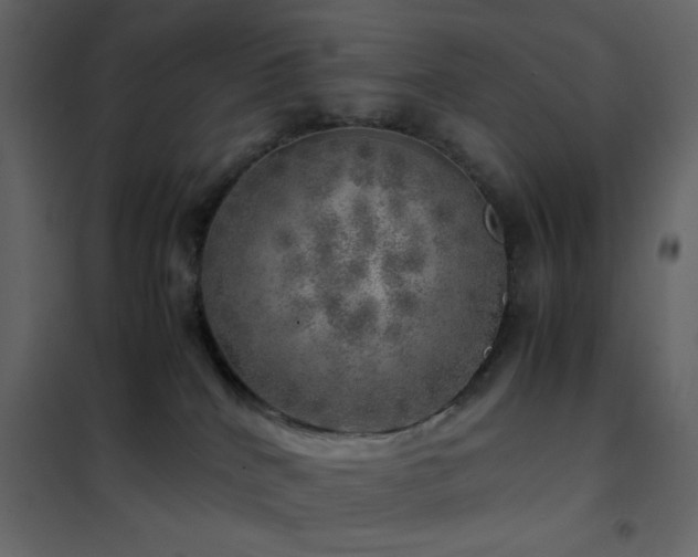 X0000102520040200808081438