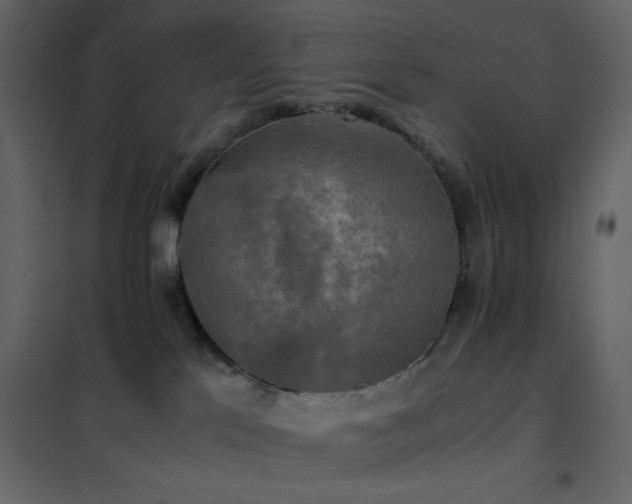 X0000102520041200808081438