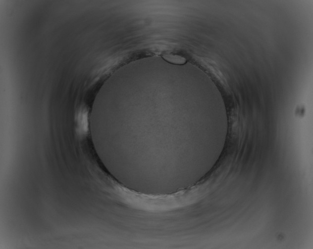 X0000102520042200808081438