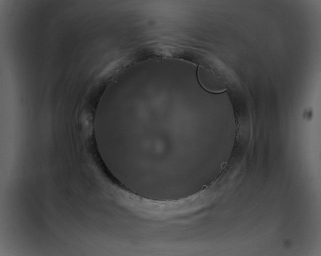 X0000102520043200808081438