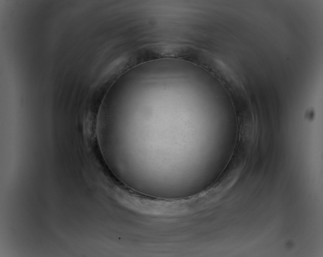 X0000102520044200808081438