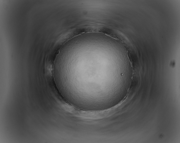 X0000102520045200808081438