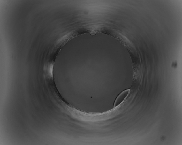 X0000102520047200808081437