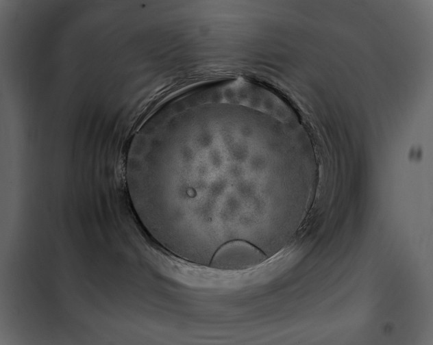 X0000102520048200808081437