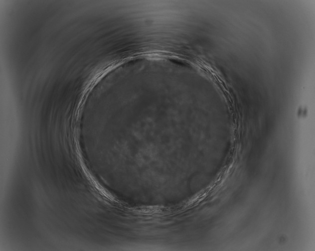 X0000102520049200808081437