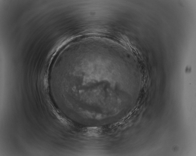 X0000102520050200808081437