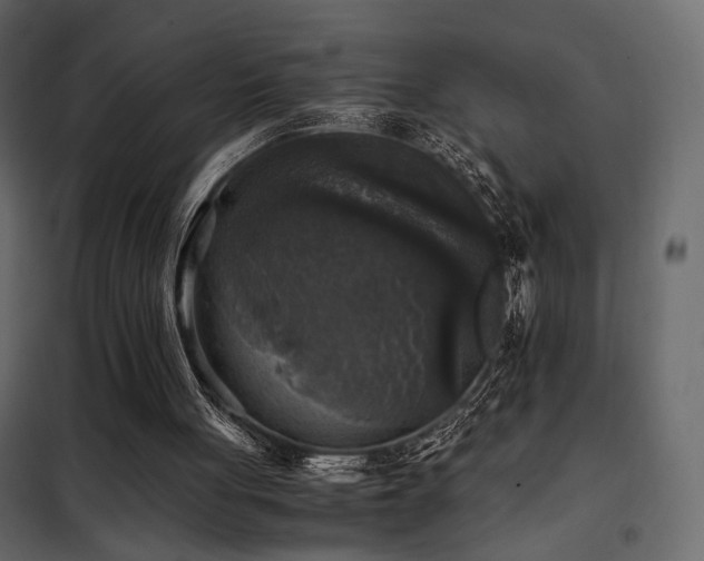 X0000102520051200808081437