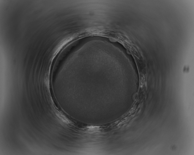 X0000102520052200808081437