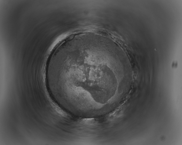 X0000102520054200808081437