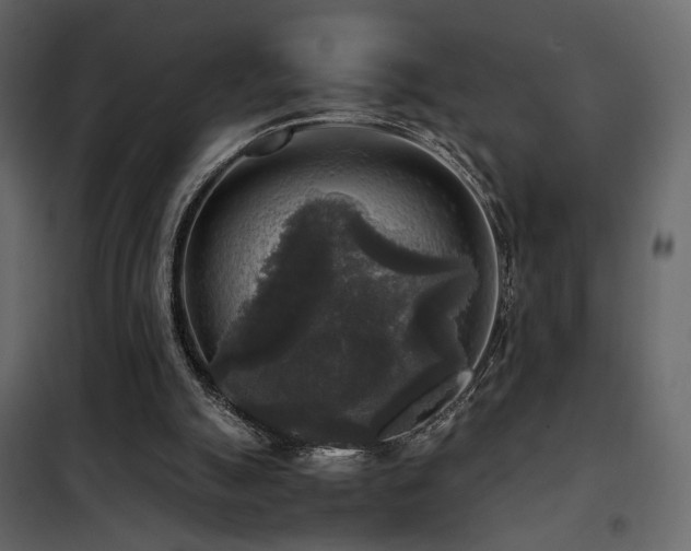 X0000102520055200808081437