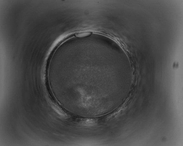 X0000102520056200808081437