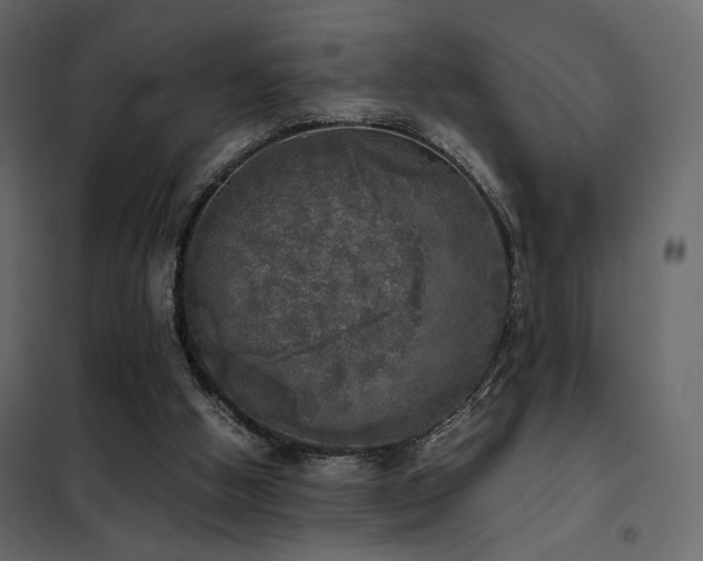 X0000102520058200808081437