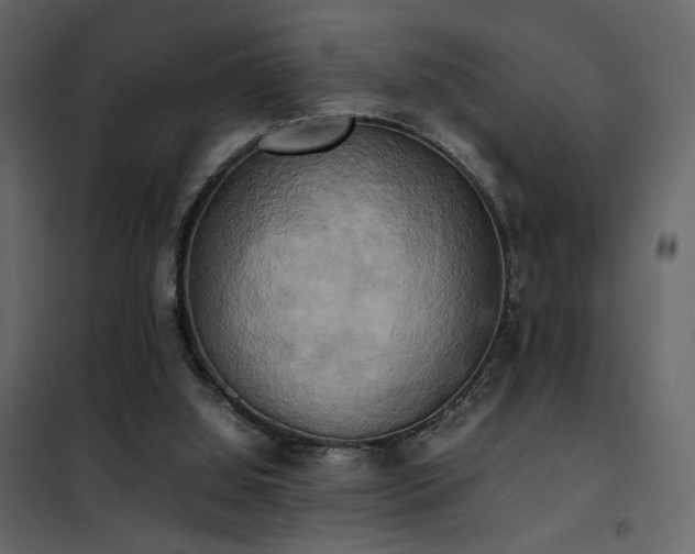 X0000102520060200808081437