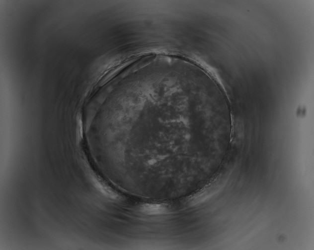 X0000102520061200808081437