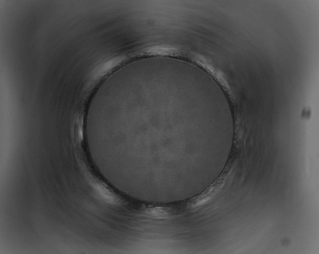 X0000102520062200808081437