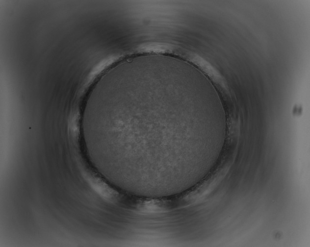 X0000102520064200808081437