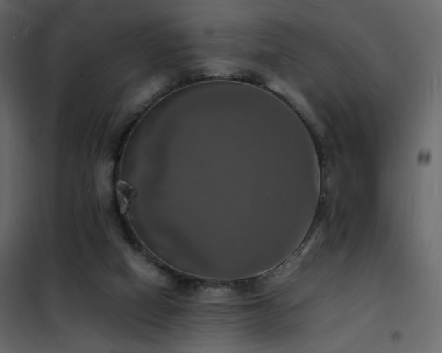 X0000102520066200808081437