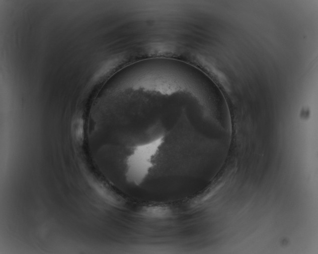 X0000102520067200808081437