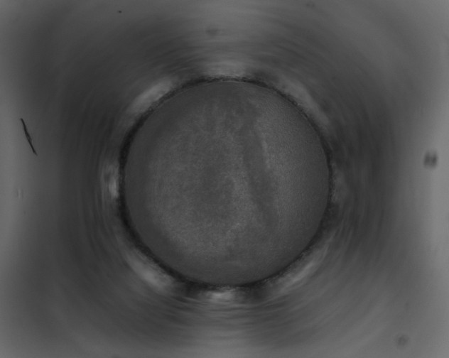 X0000102520068200808081437