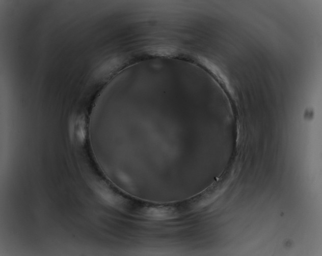 X0000102520069200808081437