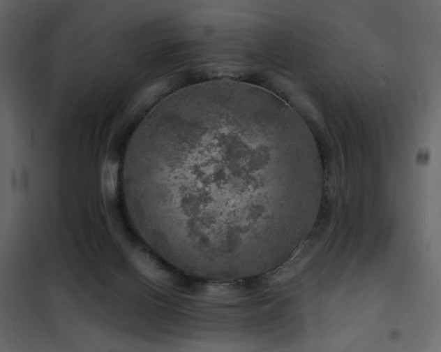 X0000102520070200808081437