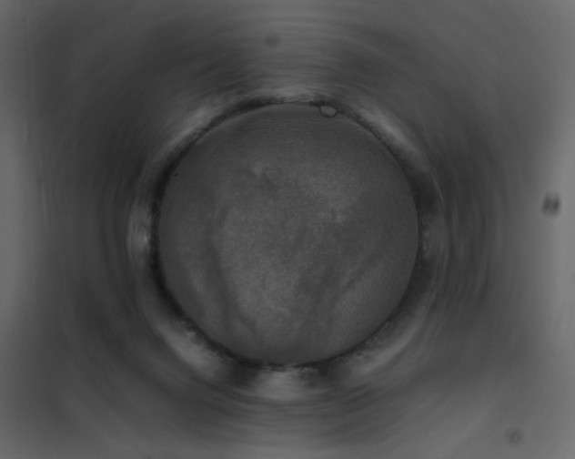 X0000102520072200808081437