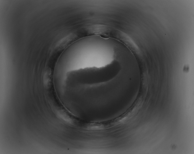 X0000102520073200808081437