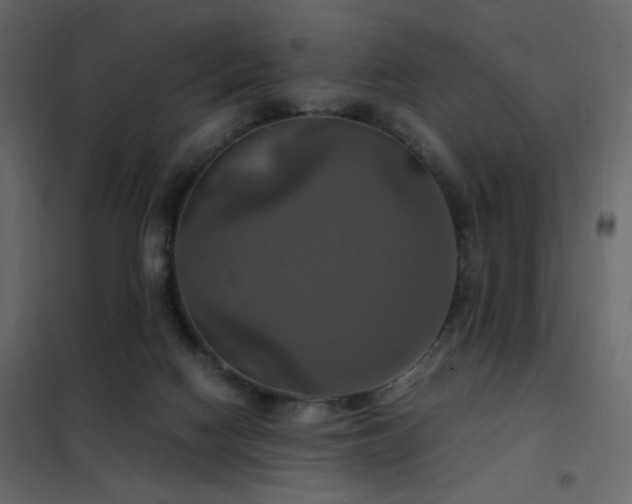 X0000102520074200808081437