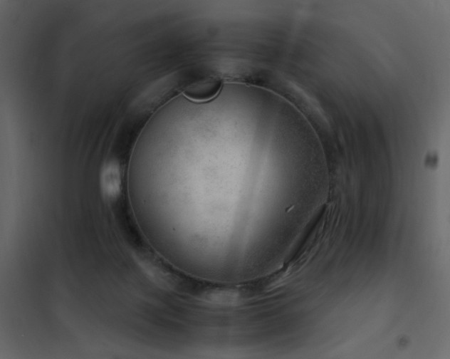 X0000102520075200808081437