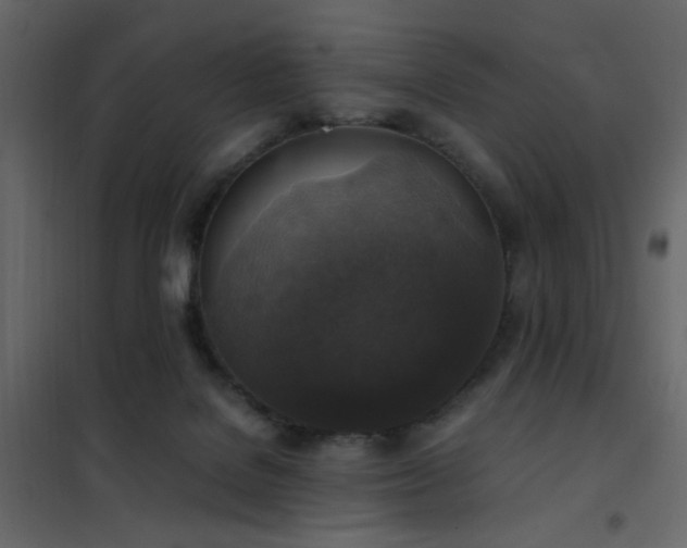 X0000102520076200808081437